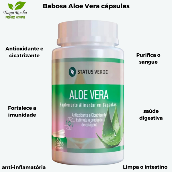 Aloe Vera 120 cápsulas 500mg